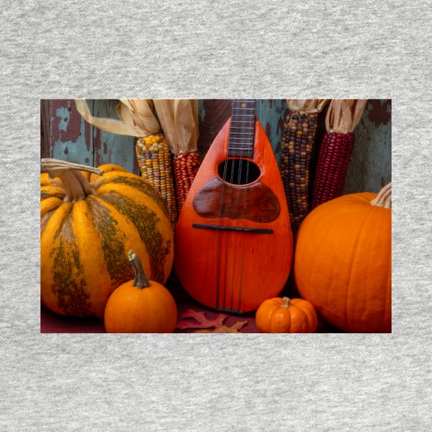 Old Mandolin And Autumn Pumpkins by photogarry